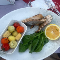 фото из отзыва ID 2697364