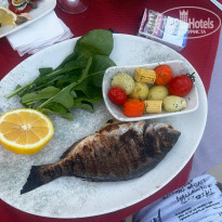 фото из отзыва ID 2697364