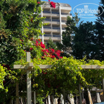 фото из отзыва ID 2697364