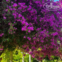 фото из отзыва ID 2697364