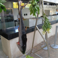 фото из отзыва ID 2697364