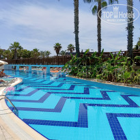 фото из отзыва ID 2697364