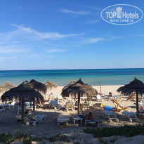 фото из отзыва ID 2697409