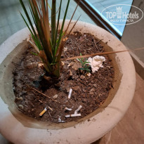 фото из отзыва ID 2697413