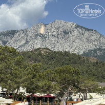 фото из отзыва ID 2697432