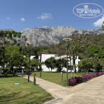 фото из отзыва ID 2697432