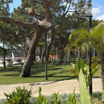 фото из отзыва ID 2697432