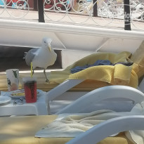 фото из отзыва ID 2697466