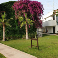 фото из отзыва ID 2697466