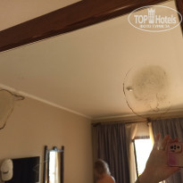 фото из отзыва ID 2697326