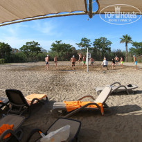 фото из отзыва ID 2697459