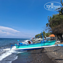 фото из отзыва ID 2697499