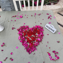 фото из отзыва ID 2697547