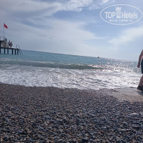 фото из отзыва ID 2697447