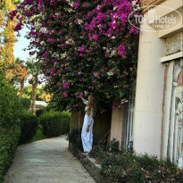 фото из отзыва ID 2697611