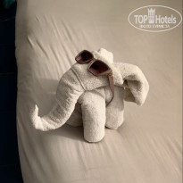 фото из отзыва ID 2697611