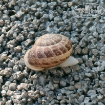 фото из отзыва ID 2697268