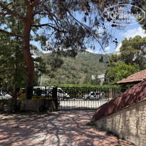 фото из отзыва ID 2697630