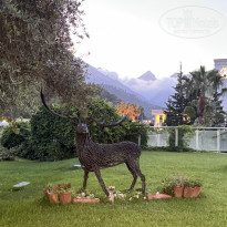 фото из отзыва ID 2697630