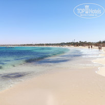 фото из отзыва ID 2697694