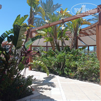 фото из отзыва ID 2697694