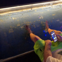 фото из отзыва ID 2697721