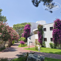 фото из отзыва ID 2697726