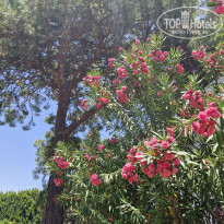 фото из отзыва ID 2697726