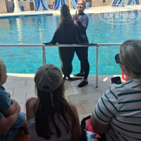 фото из отзыва ID 2697762