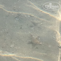 фото из отзыва ID 2695791