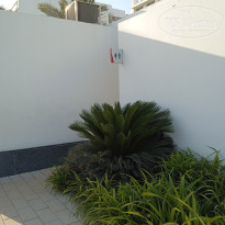 фото из отзыва ID 2695791