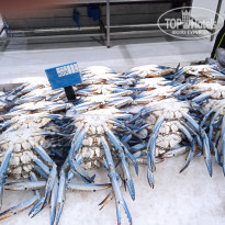 фото из отзыва ID 2695791