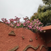 фото из отзыва ID 2697789