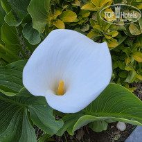 фото из отзыва ID 2697821