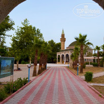 фото из отзыва ID 2697894