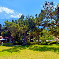 фото из отзыва ID 2697894