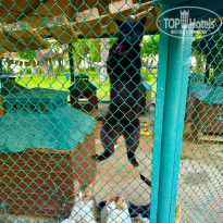 фото из отзыва ID 2697894