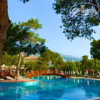 фото из отзыва ID 2697894