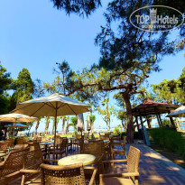 фото из отзыва ID 2697894