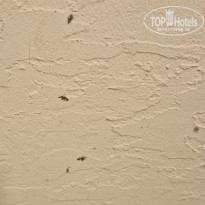 фото из отзыва ID 2697899