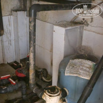 фото из отзыва ID 2697899