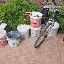 фото из отзыва ID 2697899