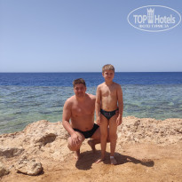 фото из отзыва ID 2697914