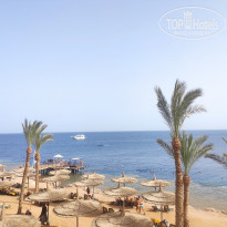 фото из отзыва ID 2697914