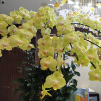 фото из отзыва ID 2697950