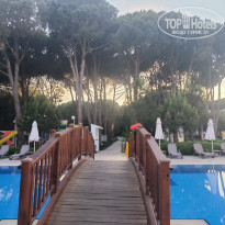 фото из отзыва ID 2697995