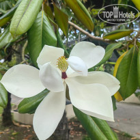 фото из отзыва ID 2698005