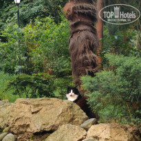 фото из отзыва ID 2698005