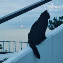 фото из отзыва ID 2698005