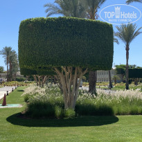 фото из отзыва ID 2698004